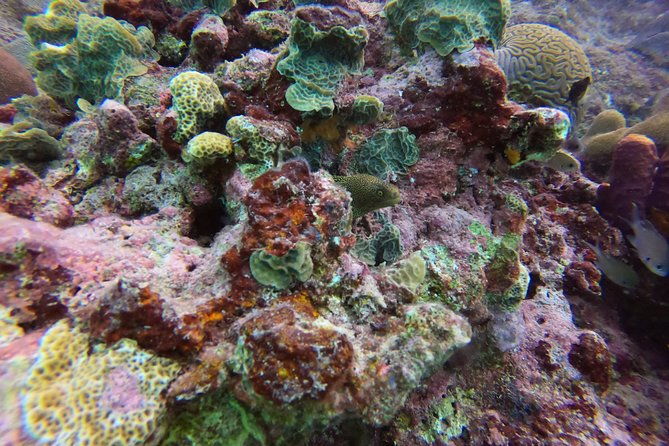snorkel-tour-in-curacao