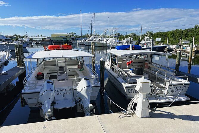 snorkel-tours-to-key-largo-reef-for-up-to-6-people-includes-gear