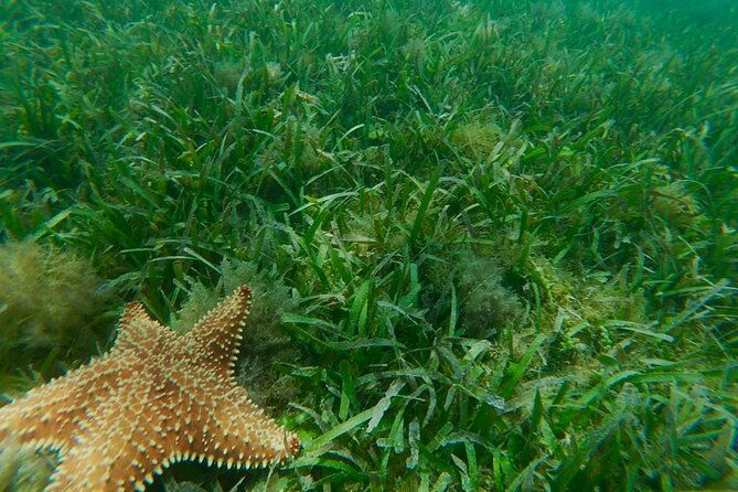 snorkeling-and-kayak-eco-experience