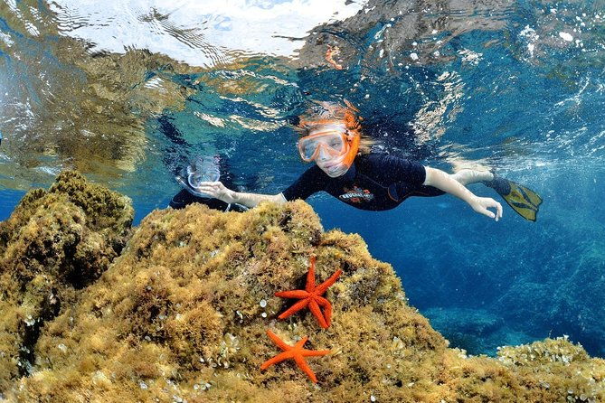 snorkeling-by-boat-on-site-in-the-bay-of-cannes-or-esterel-2