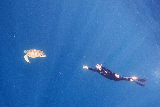 snorkeling-excursion-in-the-rays-and-turtles-zone-2