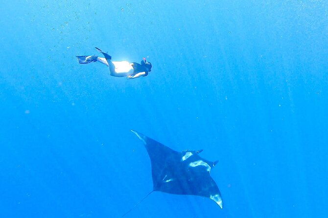 snorkeling-tour-in-cano-island-with-lunch