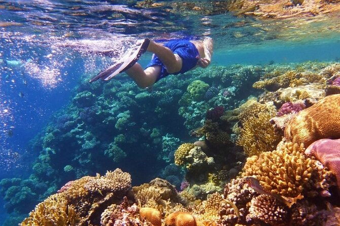 snorkeling-water-private-activity-in-montego-bay-jamaica