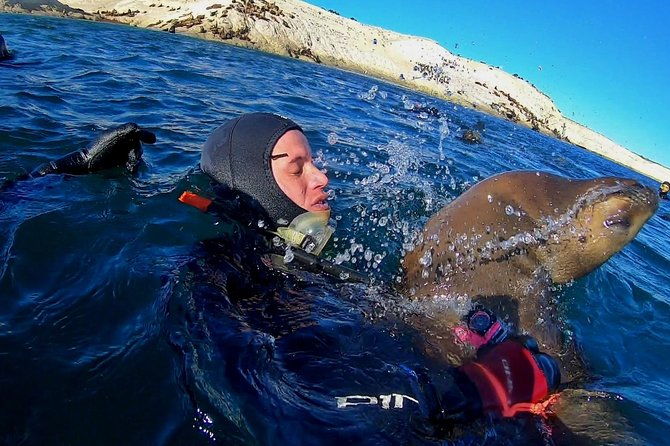 snorkeling-with-sea-lions-by-madryn-buceo