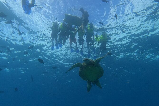 snorkeling-with-turtle-water-scooter-paddleboard-adventures-oahu