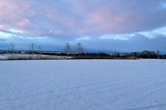 snow-view-sauna-in-naganuma