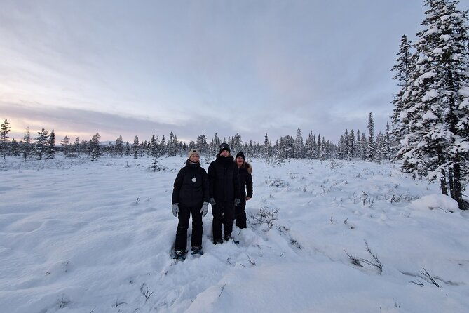snowshoe-in-a-winter-forest