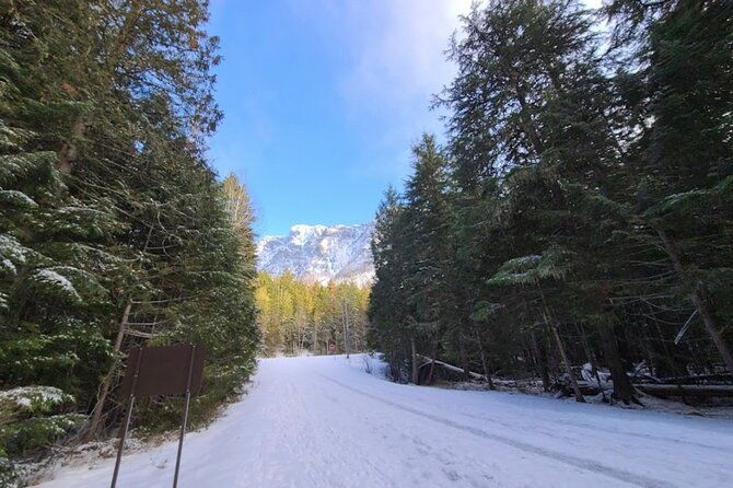 snowshoe-or-cross-country-ski-tours-in-glacier-national-park
