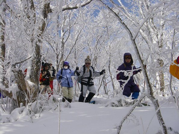 snowshoe-tour