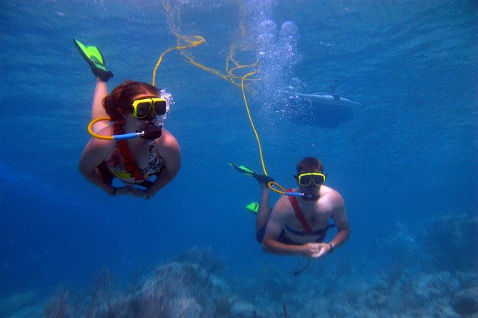 snuba-adventure-at-coral-world-ocean-park