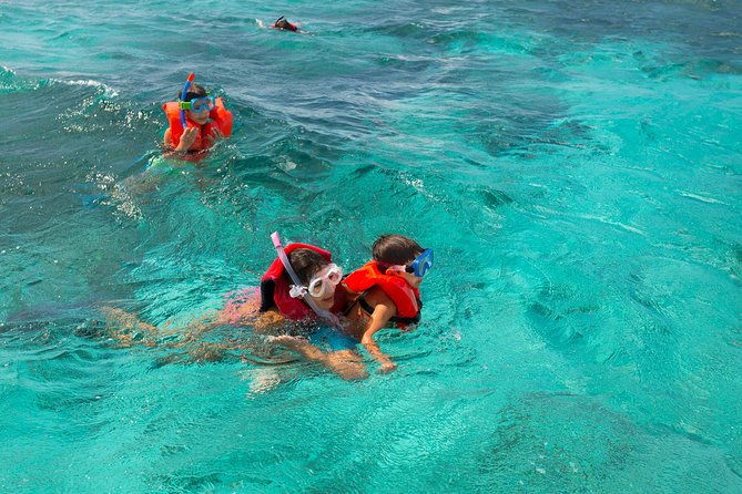 socoho-eco-half-day-mangrove-kayak-reef-snorkeling