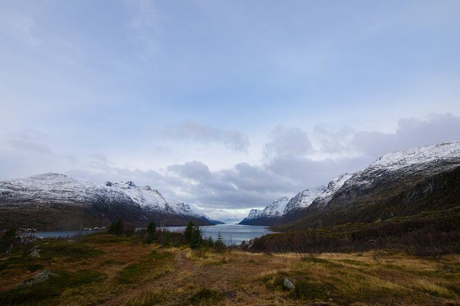 sommaroy-arctic-day-trip
