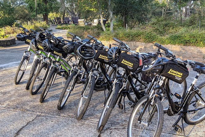 sonoma-valley-pedal-assist-bike-tour-2
