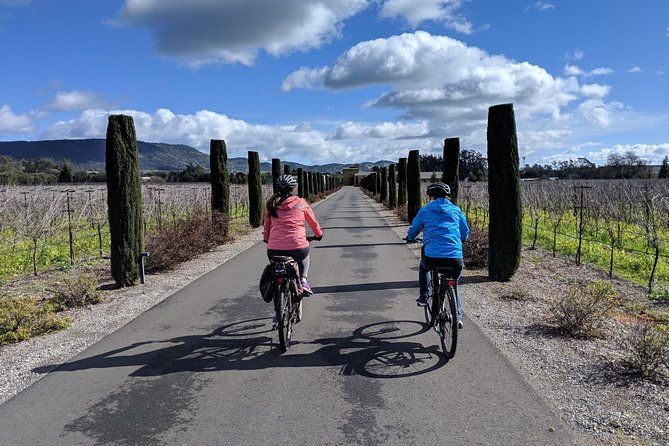 sonoma-valley-pedal-assist-bike-tour