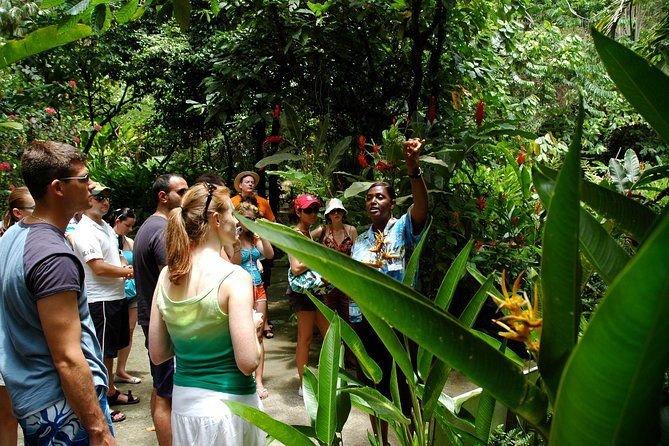 soufriere-island-delight