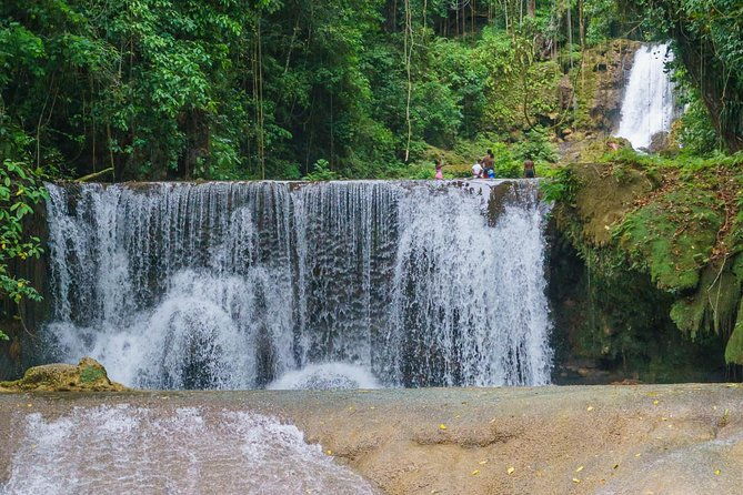 south-coast-tour-ys-falls-black-river-safari