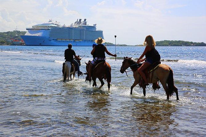 south-side-horseback-riding-beach-break-roundway-transfer