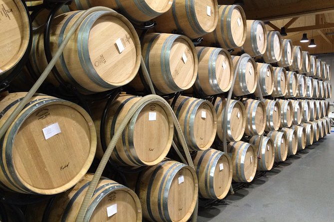 southern-burgundy-wine-tour-full-day-shared-tour-from-lyon-2