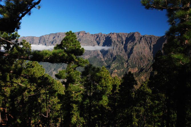 special-cruise-tour-center-and-south-la-palma-price-per-car-not-per-person