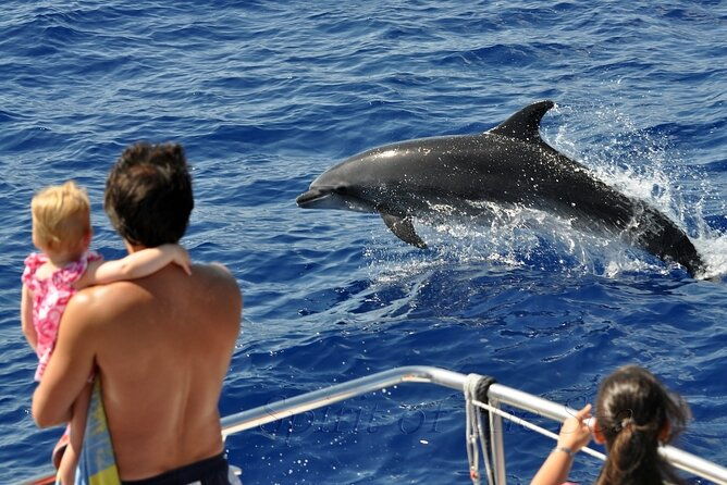 spirit-of-the-sea-cetacean-sighting-in-gran-canaria