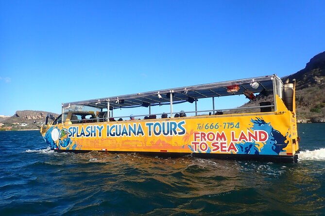 splashy-iguana-tour-in-curacao