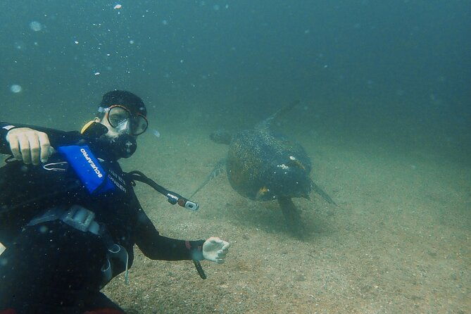 ssi-advanced-adventurer-diver-course