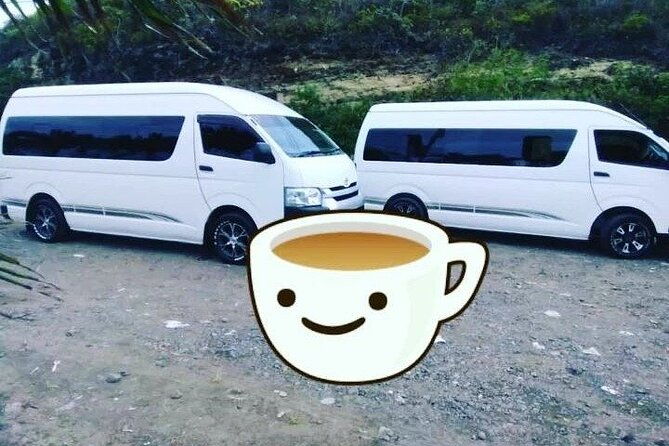 st-lucia-airport-transfer-to-any-bay-gardens-location