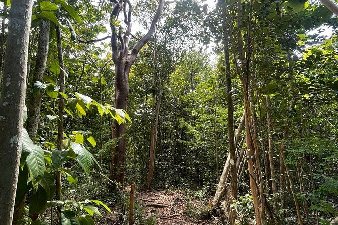 st-lucia-billy-goat-trail-hike-in-marigot-bay-saint-lucia