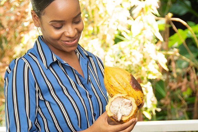 st-lucia-botanical-gardens-and-waterfall-tour-groups-only
