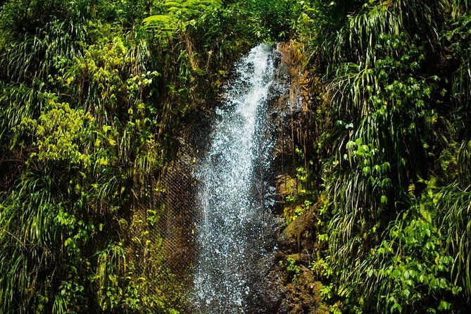 st-lucia-cruise-ship-excursion
