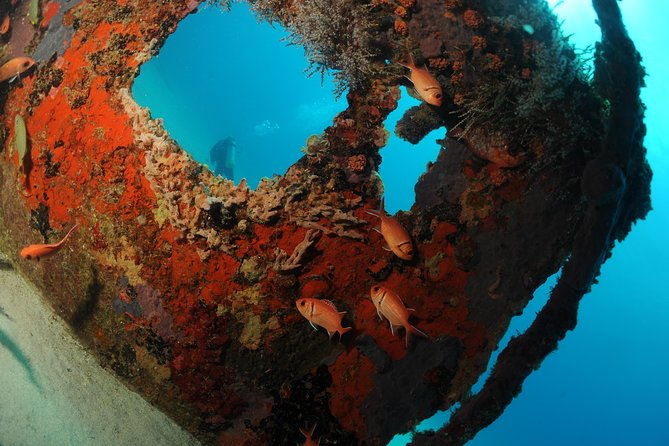 st-maarten-scuba-diving-for-certified-divers