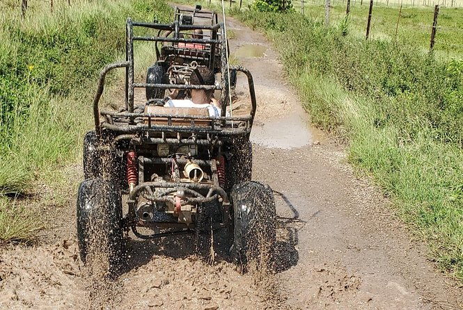 st-marys-mud-buggy-experience