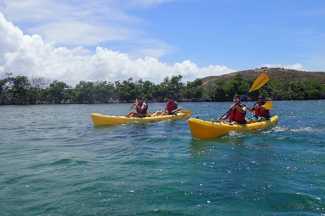 st-thomas-shore-excursion-mangrove-lagoon-kayak-and-snorkel-tour