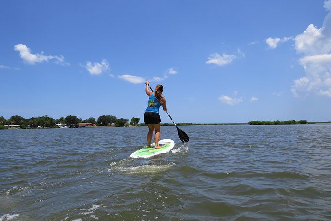 stand-up-paddle-board-rental-in-rose-bay
