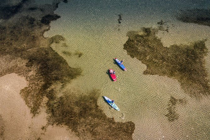 stand-up-paddle-on-laguna-of-thau-rental-sete