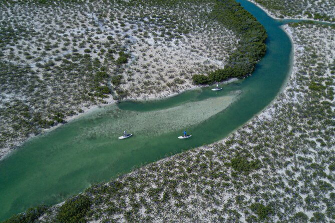 stand-up-paddleboard-eco-tour