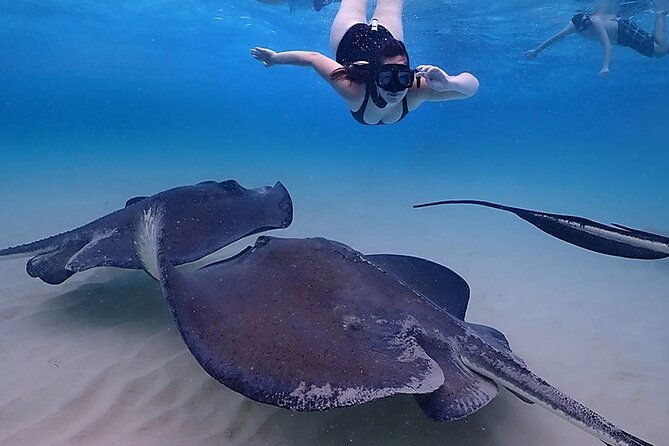 starfish-and-stingray-city-fun-tour-with-reef-snorkeling-3-stops-2