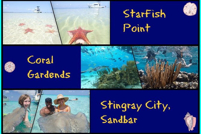 starfish-point-stingray-city-and-coral-garden-adventure