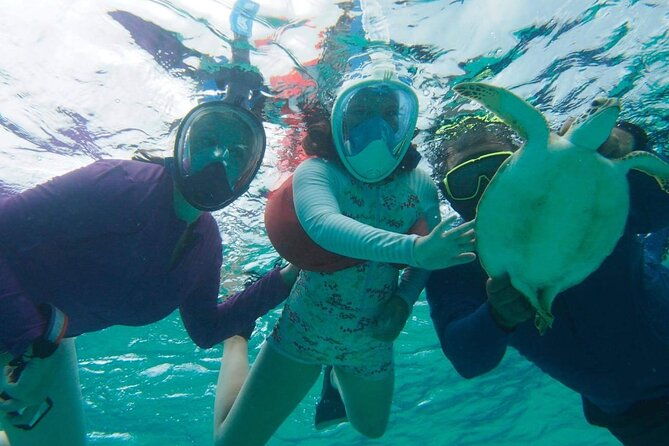 stingray-city-experience-plus-one-snorkeling-stop