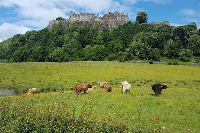 stirling-castle-trossachs-loch-lomond-and-whisky-tour