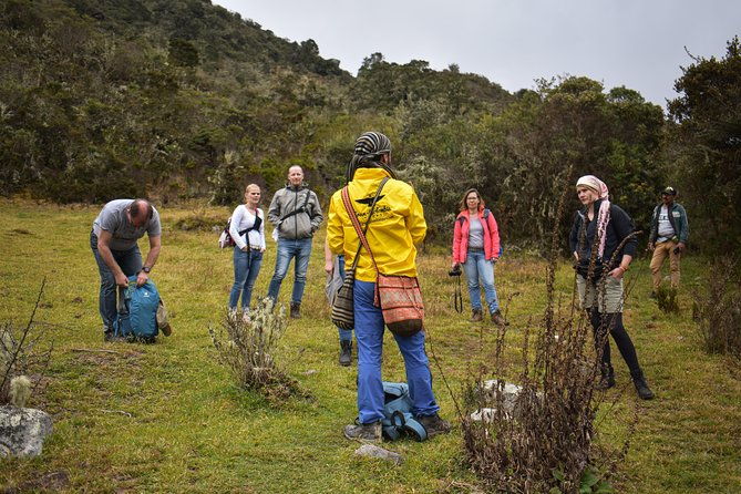 sumapaz-paramo-private-hike-tour-with-lunch