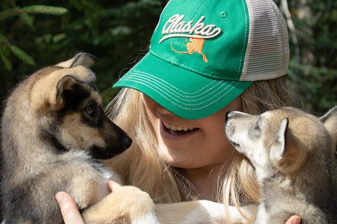 summer-mushing-cart-ride-kennel-tour