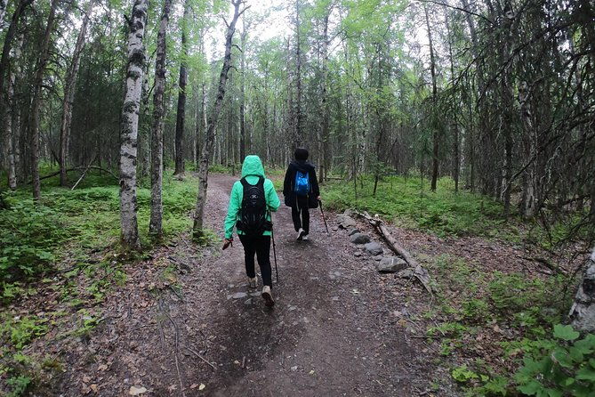 summer-valley-and-forest-hike