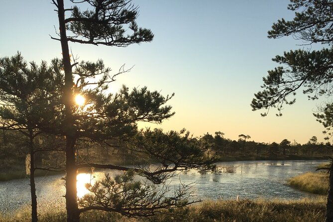 sunrise-at-kemeri-national-park