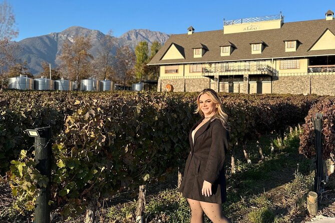 sunset-at-alyan-family-wines-winery-with-dinner
