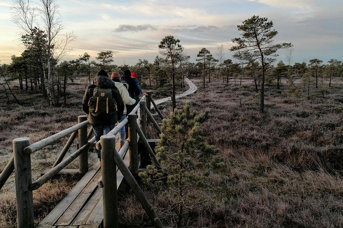 sunset-at-kemeri-national-park-2