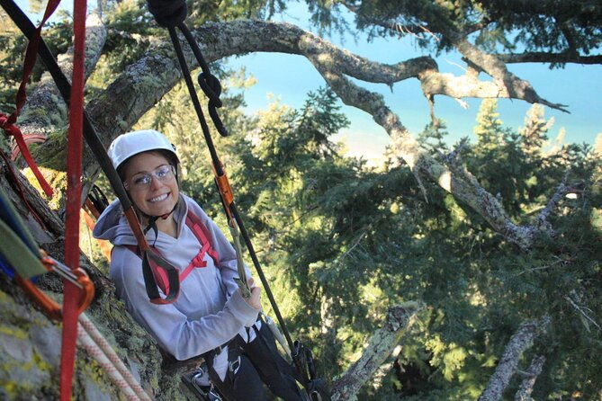 sunset-canopy-climb-on-lopez-island