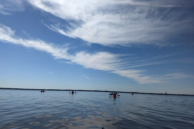 sunset-kayaking-tour-at-manatee-cove-with-manatee-dolphin-sightings-2