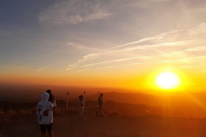 sunset-safari-4h