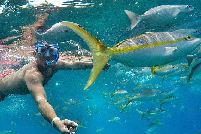 sunset-sailing-experience-cocktails-food-snorkel-kayaks